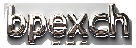 bpexch pro logo